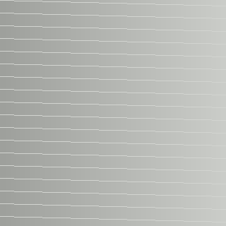 Stainless Steel 316